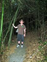 Dan in a Bamboo Forest