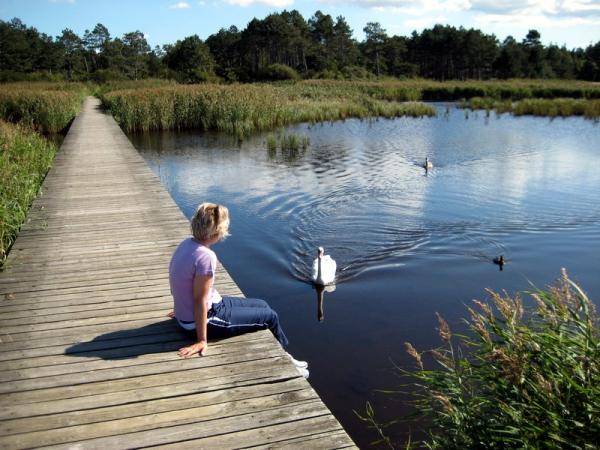 The swan started hissing at Esther.